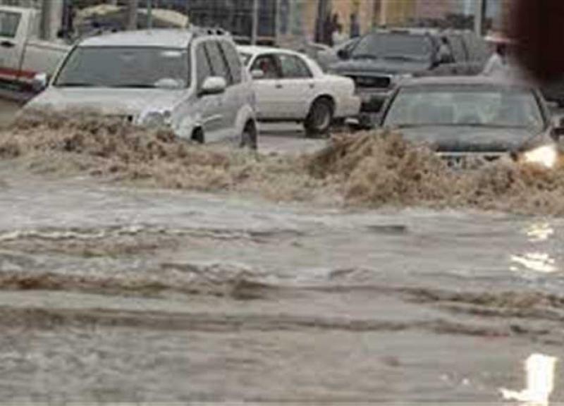 بوابة البرلمان