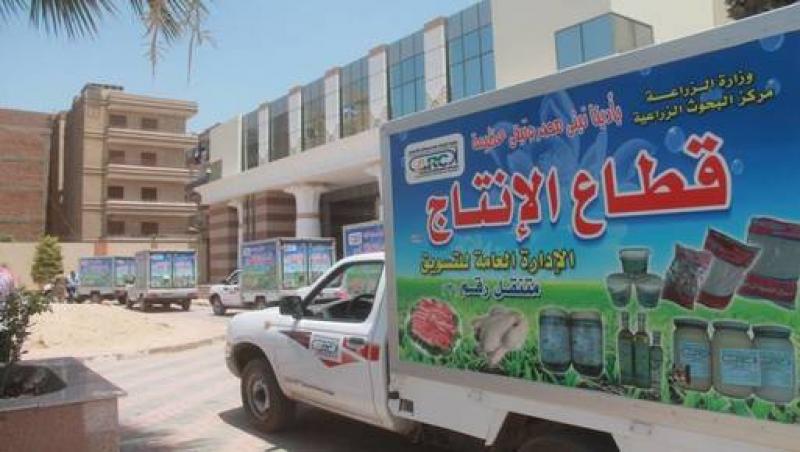 بوابة البرلمان
