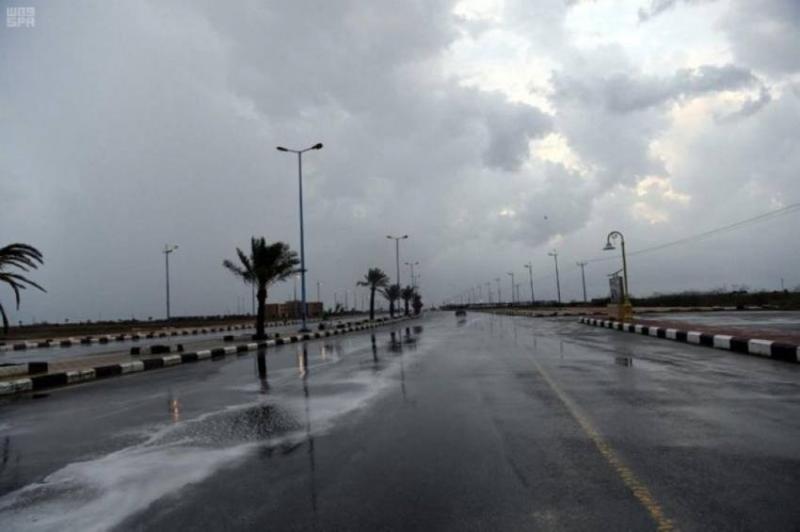 بوابة البرلمان