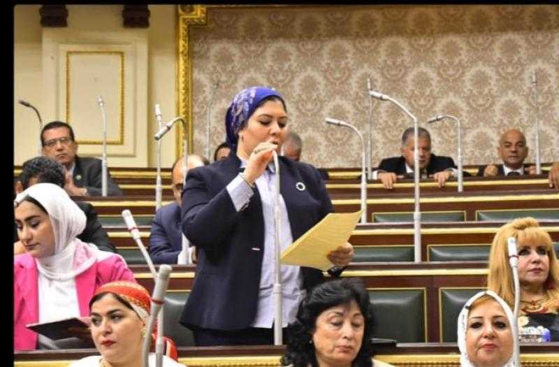 برلمانية: الحادث الإرهابي بكمين الإسماعيلية خسيس ولن ينال من استقرار مصر