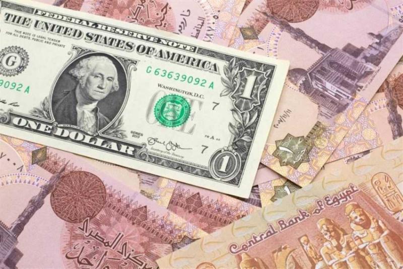 بوابة البرلمان