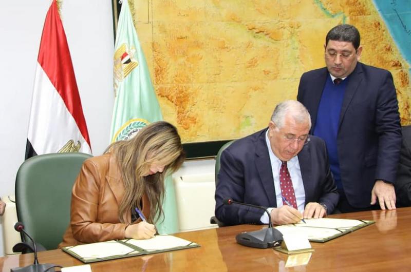 بوابة البرلمان