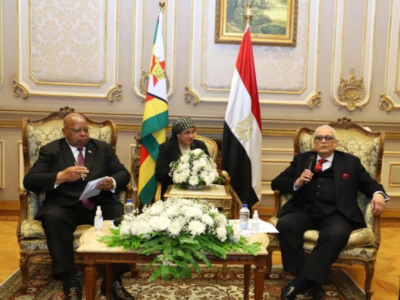 بوابة البرلمان