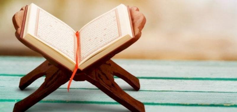 بوابة البرلمان
