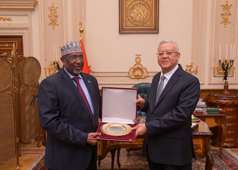بوابة البرلمان