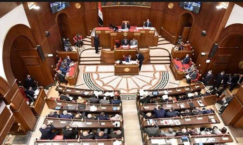 ”الشيوخ” يبدأ مناقشة استيضاح سياسة الحكومة بشأن السياسات التحفيزية للمصريين بالخارج