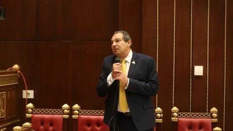 حسام الخولي: قضية المصريين بالخارج كبيرة ومتشعبة