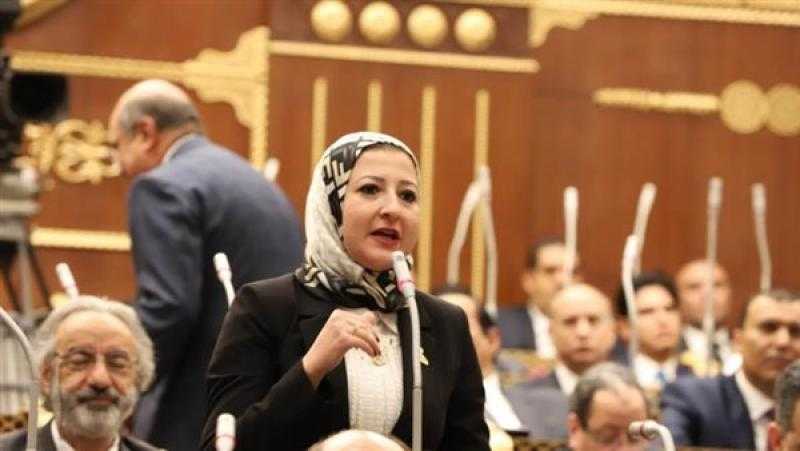 النائبة نهى الشريف تطالب الحكومة بمضاعفة جهودها لكسب ثقة المصريين بالخارج
