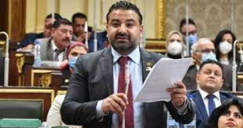 النائب محمد سلطان: ملف الرعاية والحماية الاجتماعية شهد تطورات كبيرة