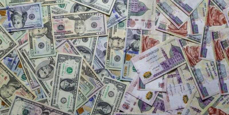 استقرار سعر صرف الدولار