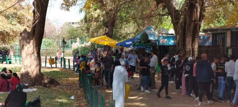 بوابة البرلمان