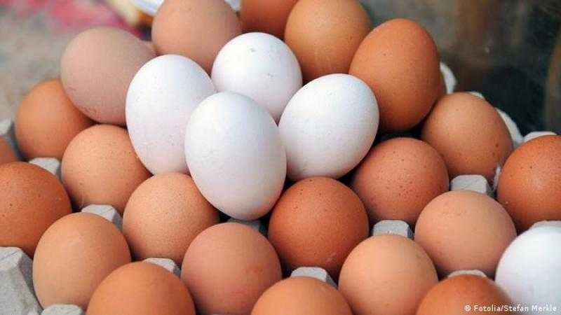 أسعار البيض تنخفض مجددا والكرتونة تصل لــ 85 جنيها