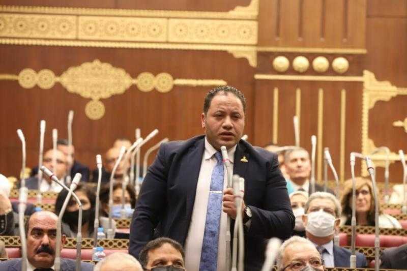 سالمان: كلمة السيسي بمؤتمر تحيا مصر رسالة للإنسانية
