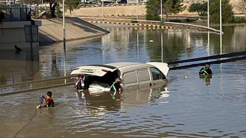 بوابة البرلمان