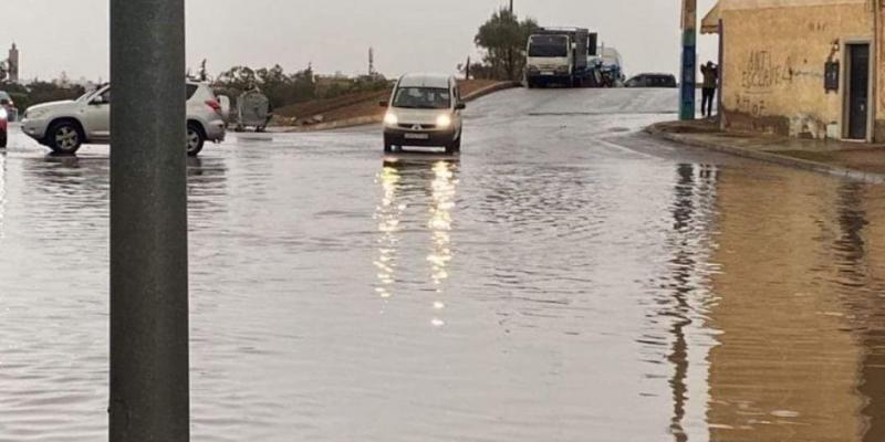 بوابة البرلمان