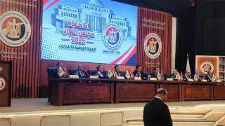 شروط ومستندات الترشح لانتخابات مجلس النواب على النظام الفردي
