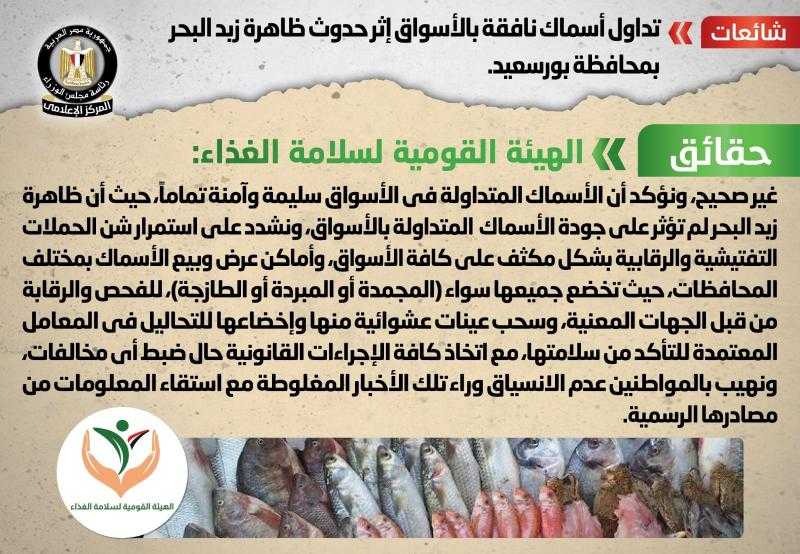 الحكومة تنفي تداول أسماك نافقة بالأسواق بسبب حدوث ظاهرة زبد البحر في بورسعيد