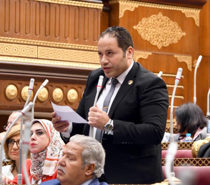النائب مصطفى سالمان