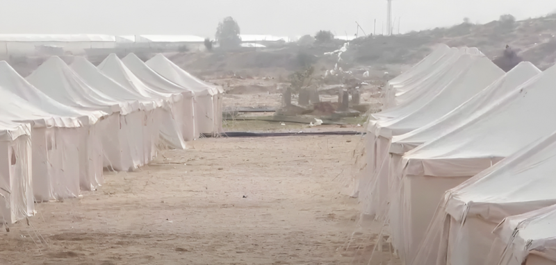 بوابة البرلمان