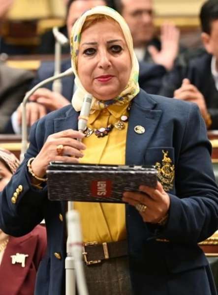 بوابة البرلمان