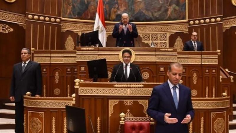 المستشار عبدالوهاب عبد الرازق رئيس مجلس الشيوخ