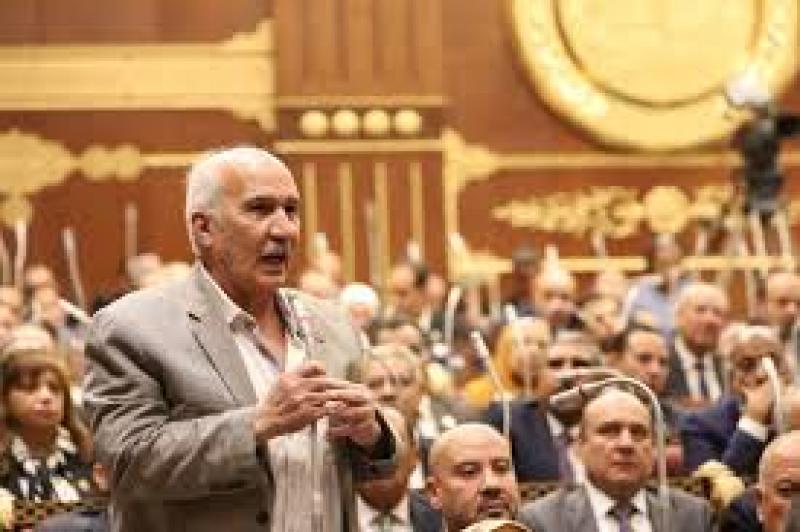 النائب السيد عبدالعال