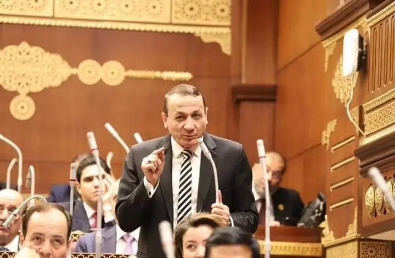 برلمانية حماة الوطن: امتلاك أسطول تجاري بحري يضع مصر على خارطة التجارة الدولية