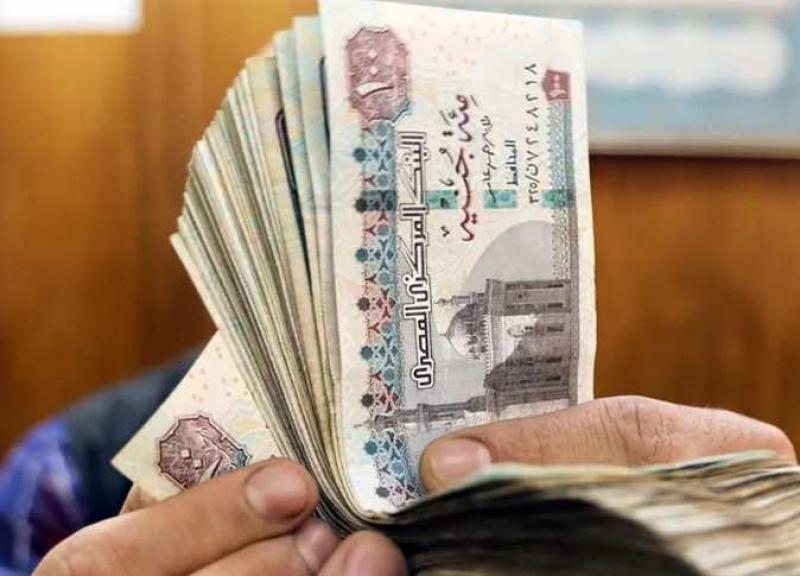 بوابة البرلمان