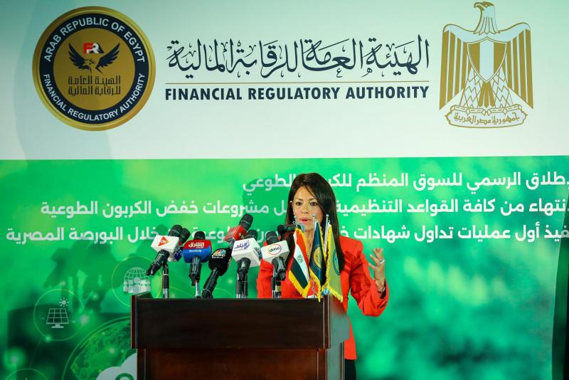 وزيرة التخطيط والتنمية الاقتصادية والتعاون الدولي