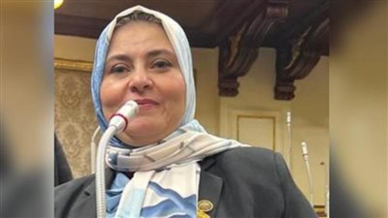 النائبة سحر العشري