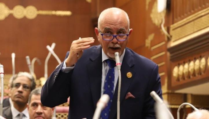 الجندي: استمرار قوافل المساعدات لغزة يؤكد التزام مصر بدورها التاريخى