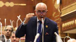 الجندي: استمرار قوافل المساعدات لغزة يؤكد التزام مصر بدورها التاريخى