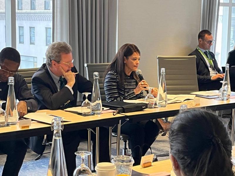 وزيرة التخطيط والتنمية الاقتصادية والتعاون الدولي