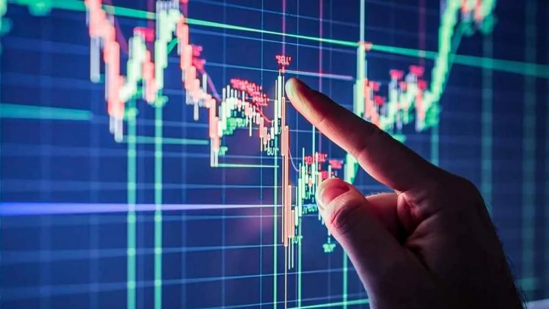 بوابة البرلمان