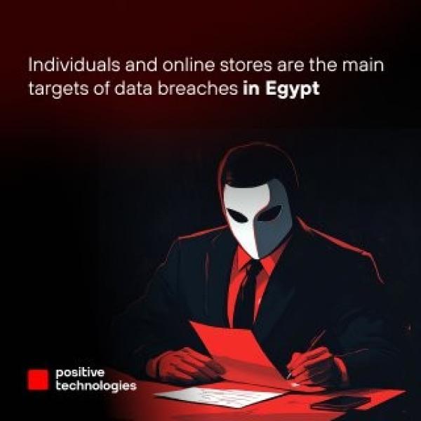 23% من البيانات المسروقة إلكترونياً  في مصر ترجع للأفراد و27 للأسرار التجارية