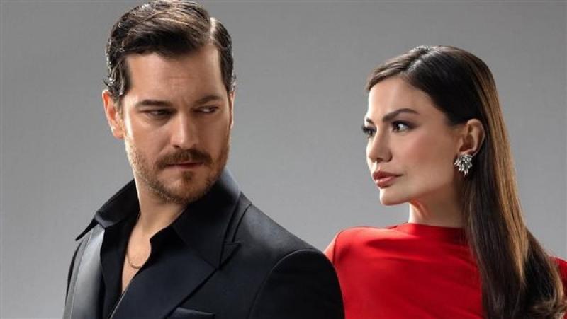 بوابة البرلمان