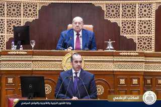 المستشار محمود فوزي: دراسة الأثر التشريعي لقانون التجارة صائبة ومطلوبة