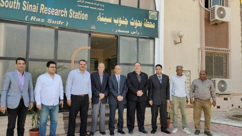 بوابة البرلمان