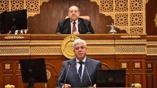 وزير التعليم العالي أمام الشيوخ: 153 مليار جنيه موازنة الوزارة ولدينا 120 جامعة بمصر
