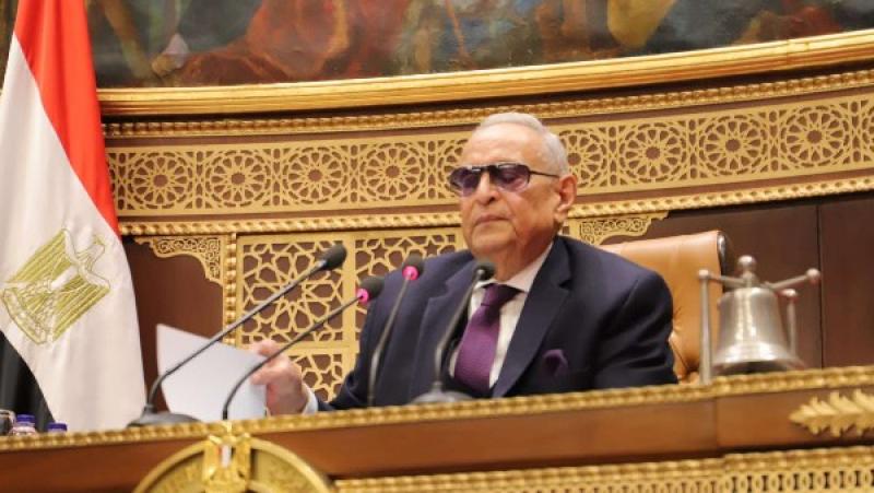 المستشار بهاء أبو شقة