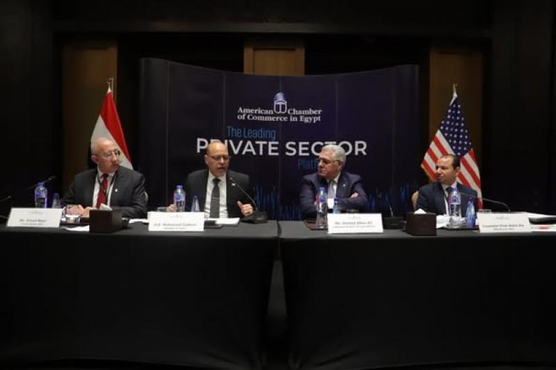 بوابة البرلمان