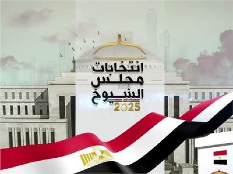 بوابة البرلمان