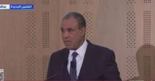 وزير الخارجية: مصر حريصة على تهيئة البيئة الجاذبة للاستثمارات القطرية