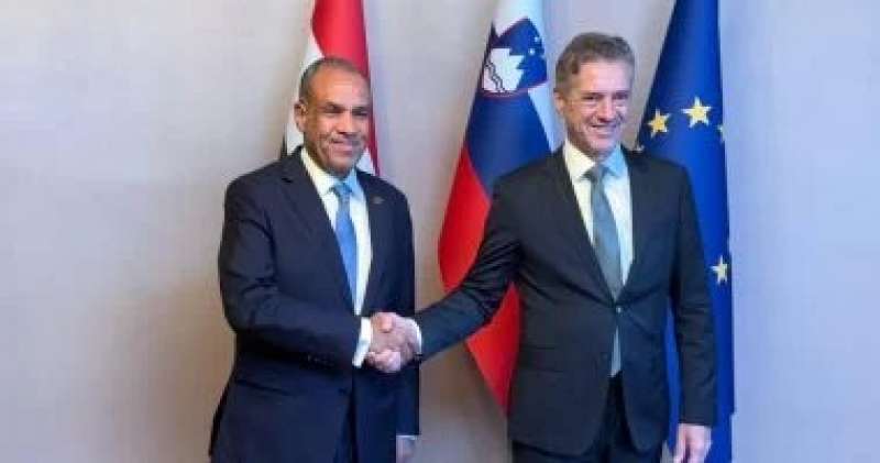 بوابة البرلمان