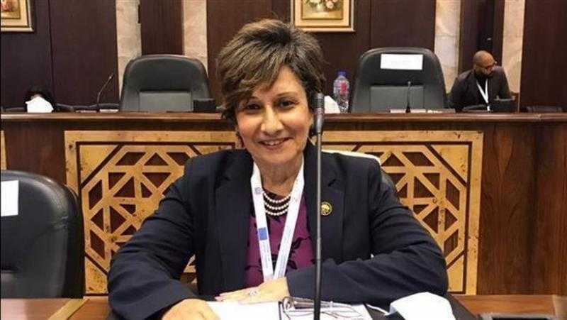 النائبة ندى ألفي ثابت: مصر الركيزة الأساسية في الحفاظ على وحدة الموقف العربي والإسلامي