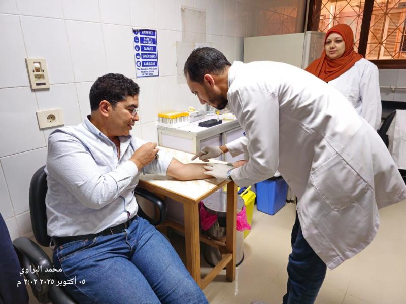 بوابة البرلمان