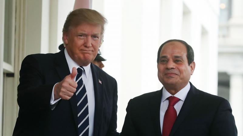 بوابة البرلمان
