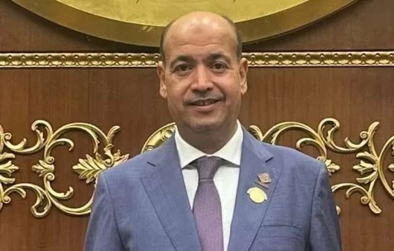 النائب أحمد السيد