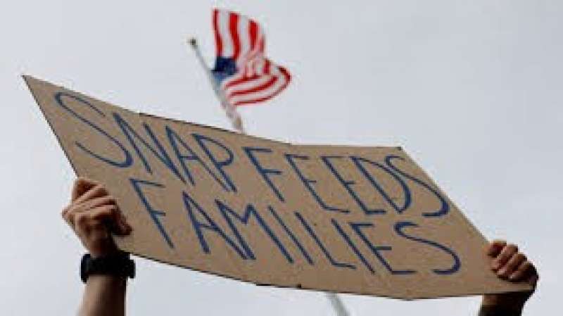 بوابة البرلمان