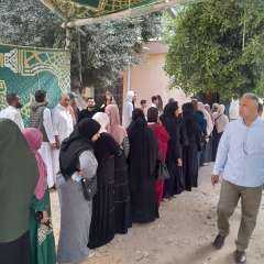 عروس البحر المتوسط تحتفل بعرس الديمقراطية مع انطلاق ماراثون انتخابات مجلس النواب 2025